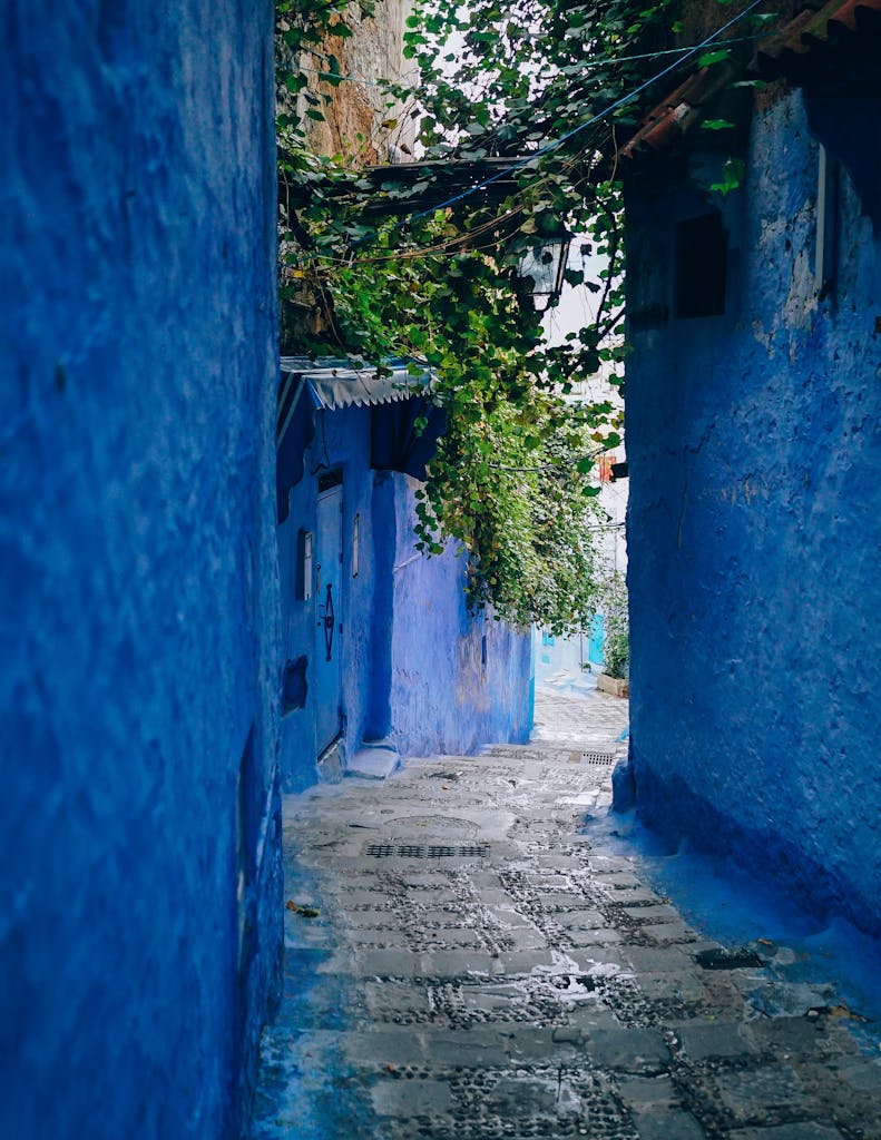 A picturesque narrow alley with blue painted walls and ivy in Marrakech, Morocco.
